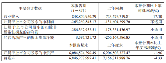 纳芯微上半年业绩