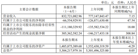 东尼电子上半年业绩