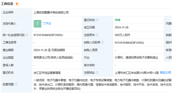 上海宏微爱赛半导体有限公司成立